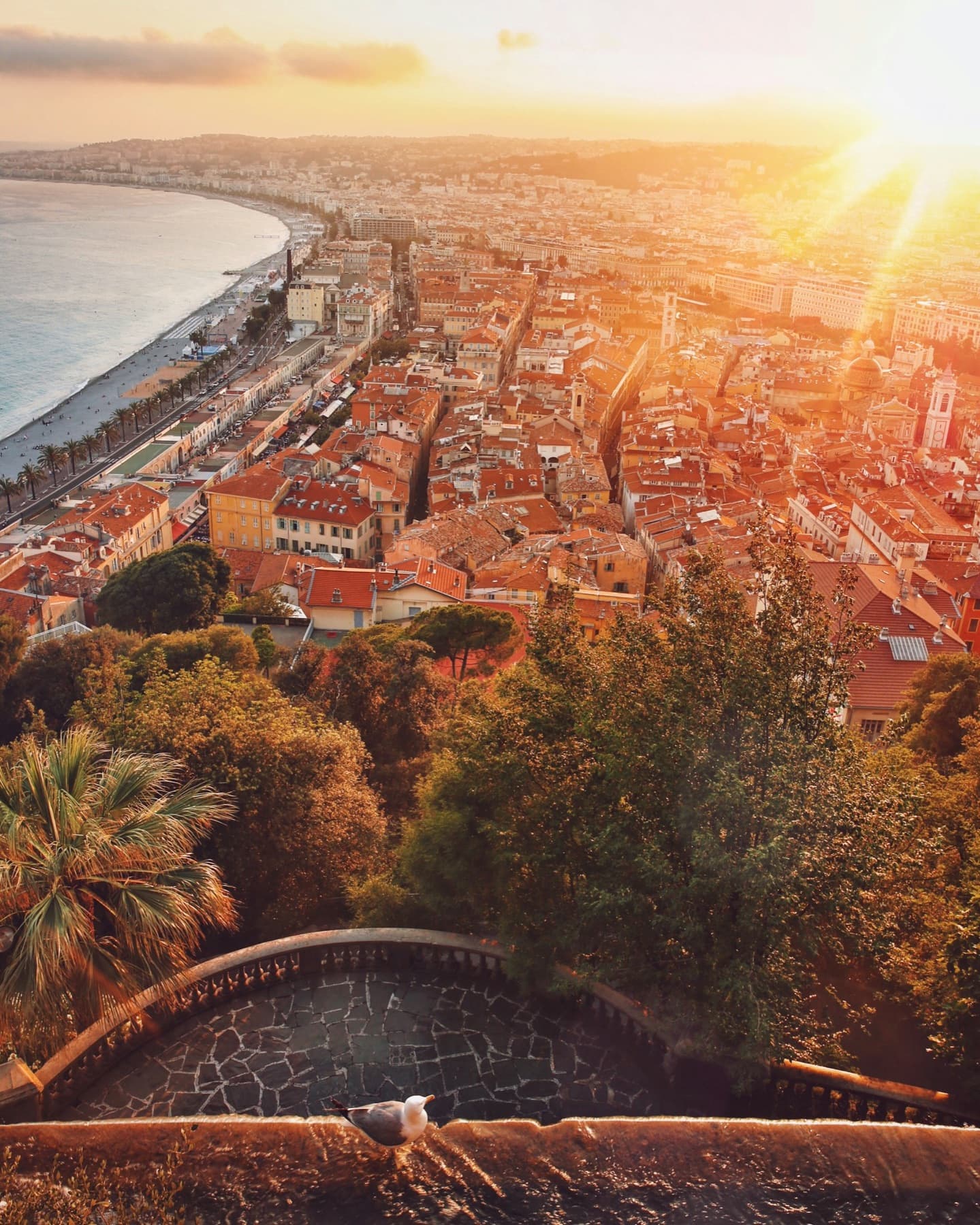 Les toits de Nice au coucher du soleil, vers les collines de Cimiez
